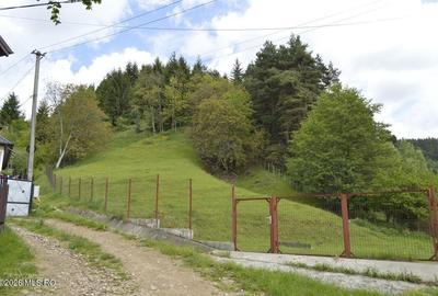 Teren Construcții intravilan de 1540 mp, în Lerești - 5
