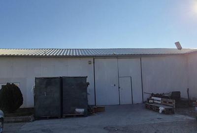 Hala + Birouri | Depozitare | Productie | Industrial 725mp - 4