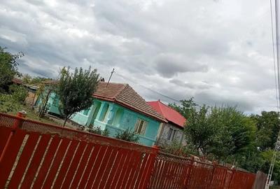 Casă cu Teren 1000 Mp în Movila Banului - 5
