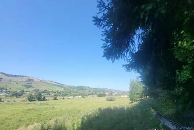 Teren de 5000 mp, în Gura Humorului - 4