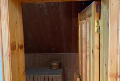 Zona Baneasa,Vila, superba, spatioasa, piscina,curte generoasa,etc.. - 11