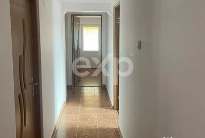 Casă cu 6 camere cu Teren 3646 Mp în Leontinești - 2