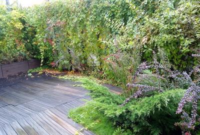 Apartament Aviatorilor - 2