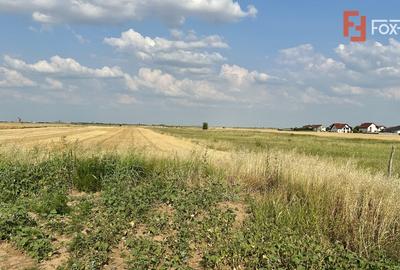 Teren Construcții intravilan de 610 mp, în Sânandrei - 4