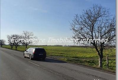 Teren de 25000 mp, în Agigea - 7