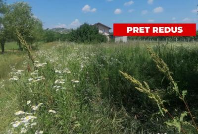 Teren de 500 mp, în Țintea - 5