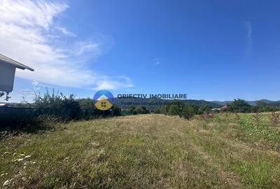 Teren intravilan de vanzare 1.688 mp, Dumbrava Ro?ie - 6