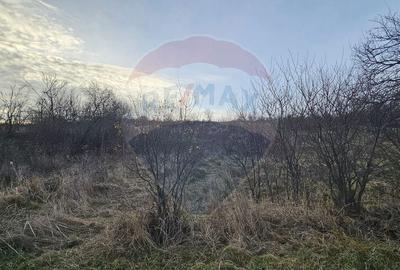 Teren de 2500 mp, în Odobești - 3