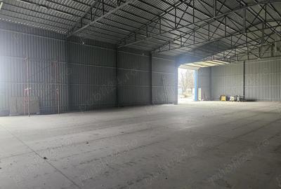 Spațiu comercial, de 800 mp, în Cărpiniș - 5