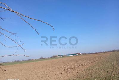 RECO Teren intravilan aproape de zona industriala Biharia - 4