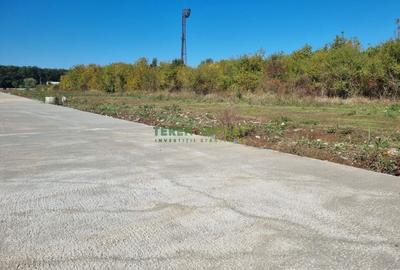 Vanzare lot 550 mp - Calea Bucuresti (DN1) Saftica - 4