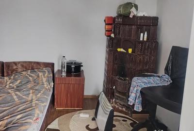 Casă cu 3 camere în Urseiu - 3