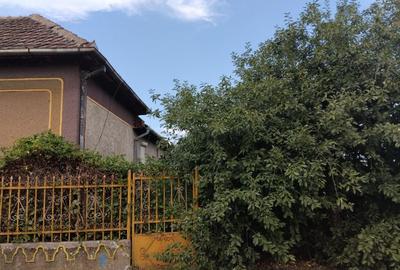 Casa de vanzare in Domanesti - 6