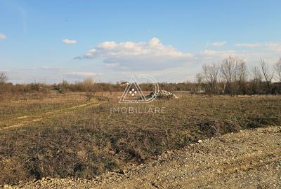 Teren Construcții intravilan de 475 mp, în Narciselor - 4