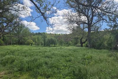 Vand loc de casa Goruia - 6