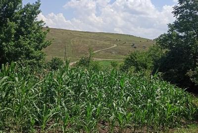 Casă individuală cu 3 camere cu Teren 1800 Mp în Vlădeni (Corlăteni) - 7