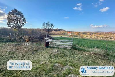 Casa de , 4 camere, Calea Mare, Bihor - 6