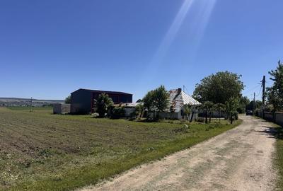 Casă cu 2 camere în Blăgești - 5