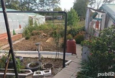 Casa de vanzare cu teren - 6