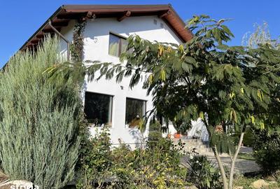 Casă cu 6 camere cu Teren 1416 Mp în Ciulnița - 5