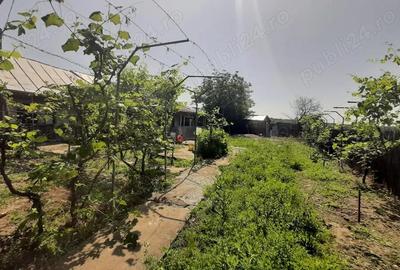 Casă cu 3 camere cu Teren 4000 Mp în Central - 1