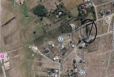 Spațiu comercial, în Vișani