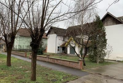 Casă cu 4 camere cu Teren 1307 Mp în Jimbolia - 3