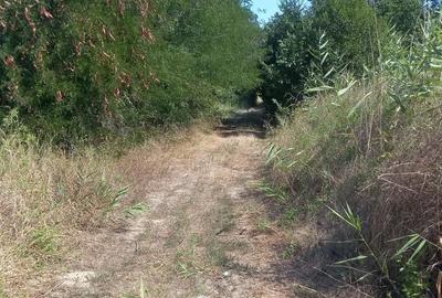 Casă cu 3 camere în Cilibia - 5