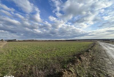 Spațiu comercial, în Apateu - 6