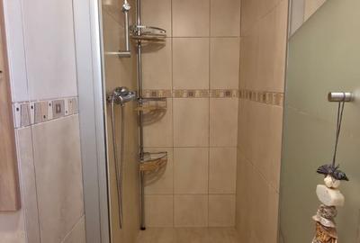 Apartament cu 4 camere decomandat în Tineretului - 20