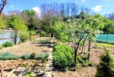 Casă cu 3 camere cu Teren 500 Mp în Blaj - 1