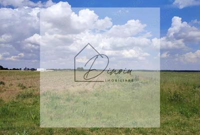 Teren intravilan Ciocanesti Cretu - 9282 mp divizat in 15 loturi - 1