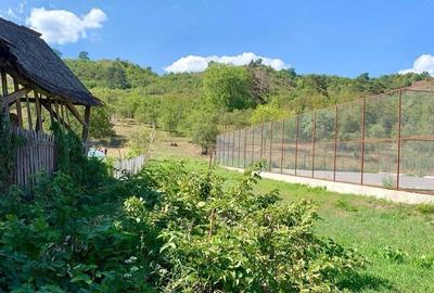 Casă cu 2 camere cu Teren 18 Mp în Bodogaia - 7