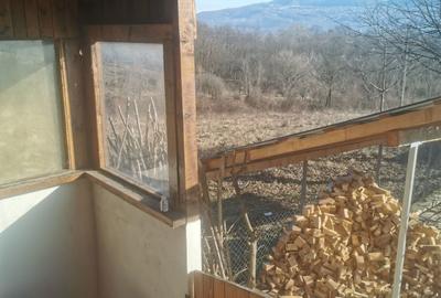 Casă cu 3 camere cu Teren 3000 Mp în Bogdănești - 6