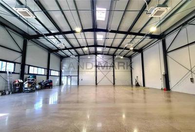 Hala noua de inchiriat , zona Lugojului - Aeroport Tmisoara - 11