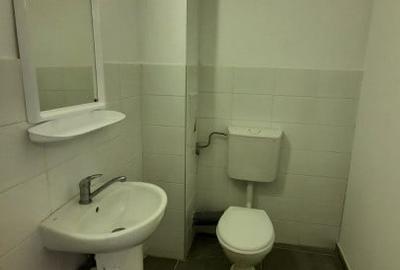 Spațiu industrial, de 800 mp, în Turnișor - 6