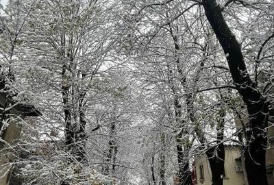 Apartament cu 3 camere, mobilat în Muncii - 1