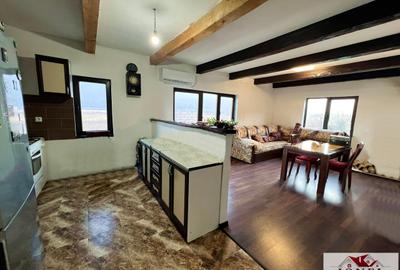Casa noua semifinisata de vanzare in Sard - 8