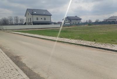 Teren Construcții intravilan de 450 mp, în Dragomirești-Vale - 2
