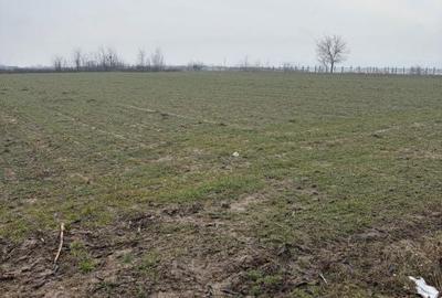 Teren de 9000 mp, în Central - 5