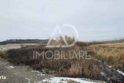 Spațiu comercial, în Turcinești - 7