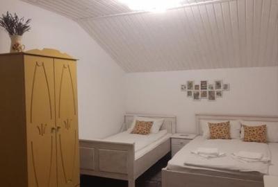 Casă individuală cu 3 camere cu Teren 165 Mp în Sasca Montană - 9