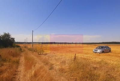 Teren pentru casa/case in Brane?ti pe strada Topora?i - 15