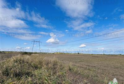 Teren 30 hectare, 500 m deschidere la A1, langa Bolentin Val - 10