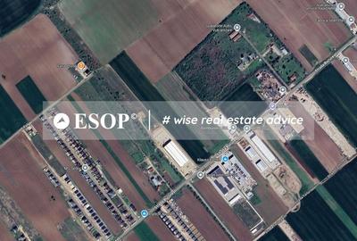 Teren Industrial, 18.000mp, Magurele, Str. Bucuresti-ID 15464 - 6