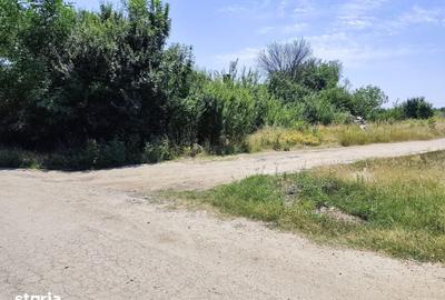 Teren de 5200 mp, în Săbăreni
