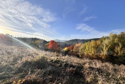 Teren de vanzare la drum asfaltat Ramet - 3