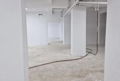 Spațiu comercial, de 360 mp, în Cișmigiu