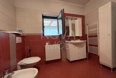 Casa individuala pe un singur nivel - 299 mp teren - Tilisca - 9