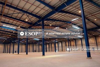 Spațiu comercial, de 7,500 mp, în Jucu - 3